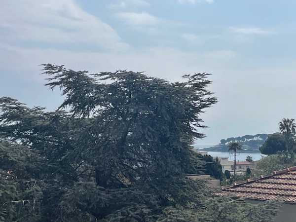 Offres de vente Appartement Antibes 06600